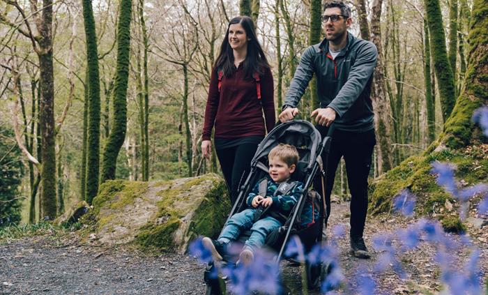 Cefndeuddwr Trail